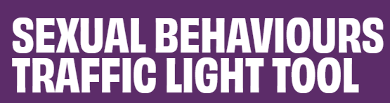 Brook - Sexual Behaviours Traffic Light Tool
